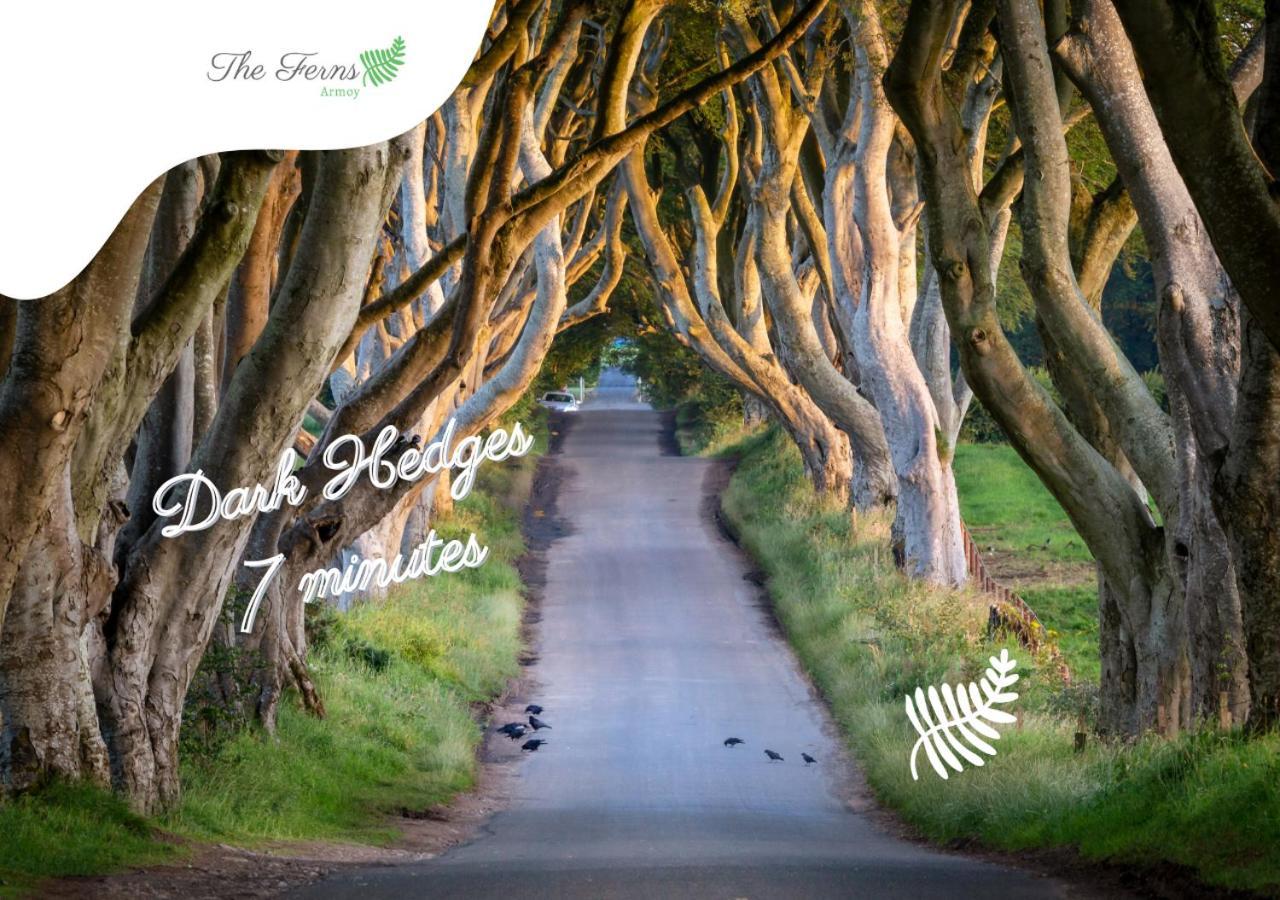 The Ferns-Ideal Base For Exploring The Causeway Coast Armoy Экстерьер фото